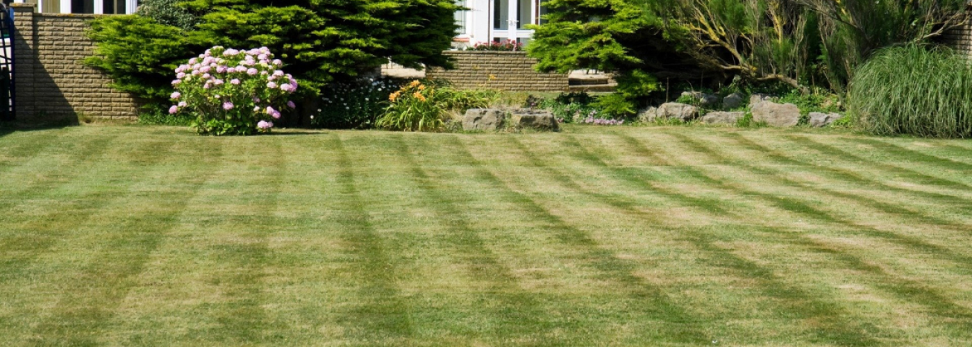 Lawn Care in Edmonton Keeping Your Yard Looking Great All Season Long
